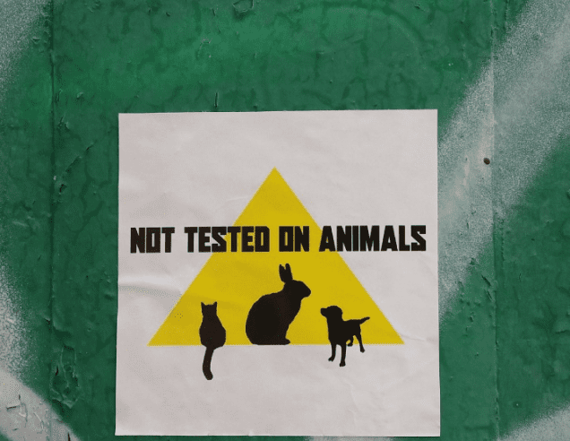 not tested on animals - productos umbrella